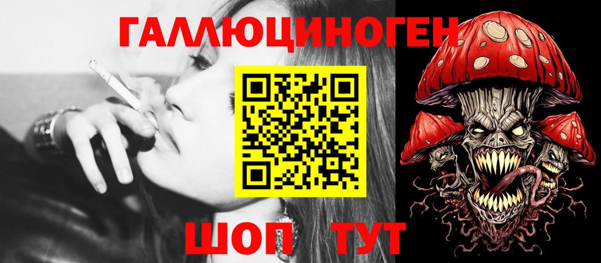 Псилоцибиновые грибы Psilocybe Железноводск